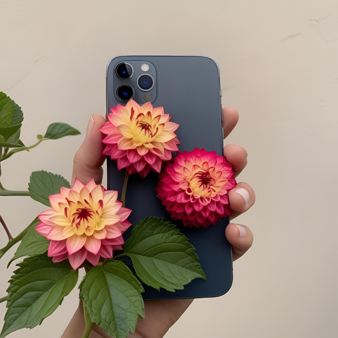 分割中のiPhone買取サービス！選び方と注意点☆